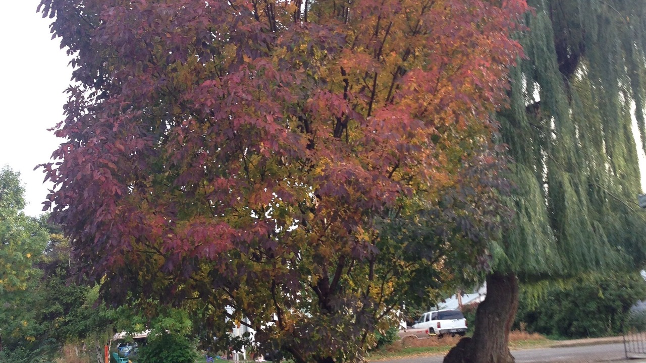 Photo of Outdoor in Orderville