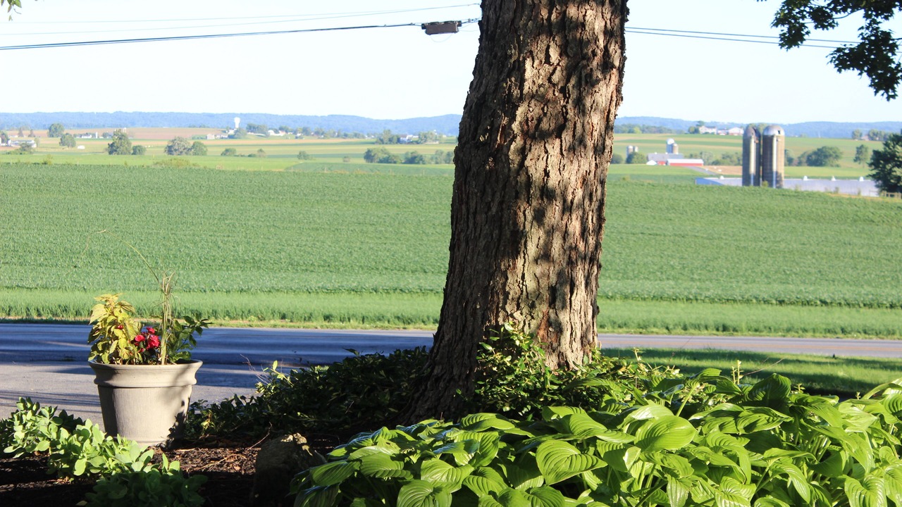 Photo of Outdoor in Leola