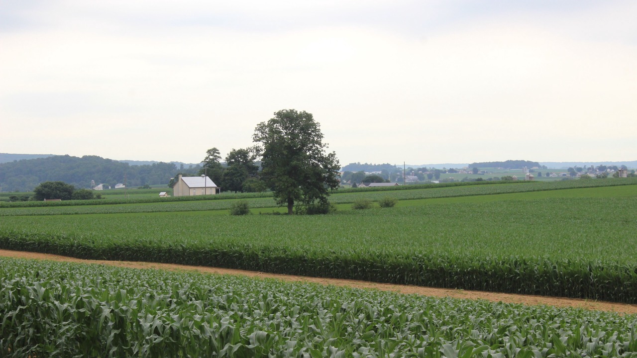 Photo of Others in Leola