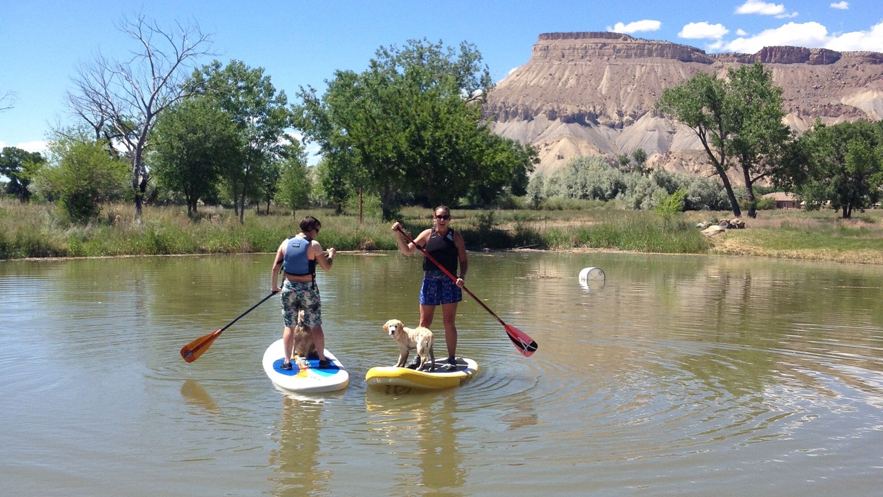 Photo of Others in Palisade