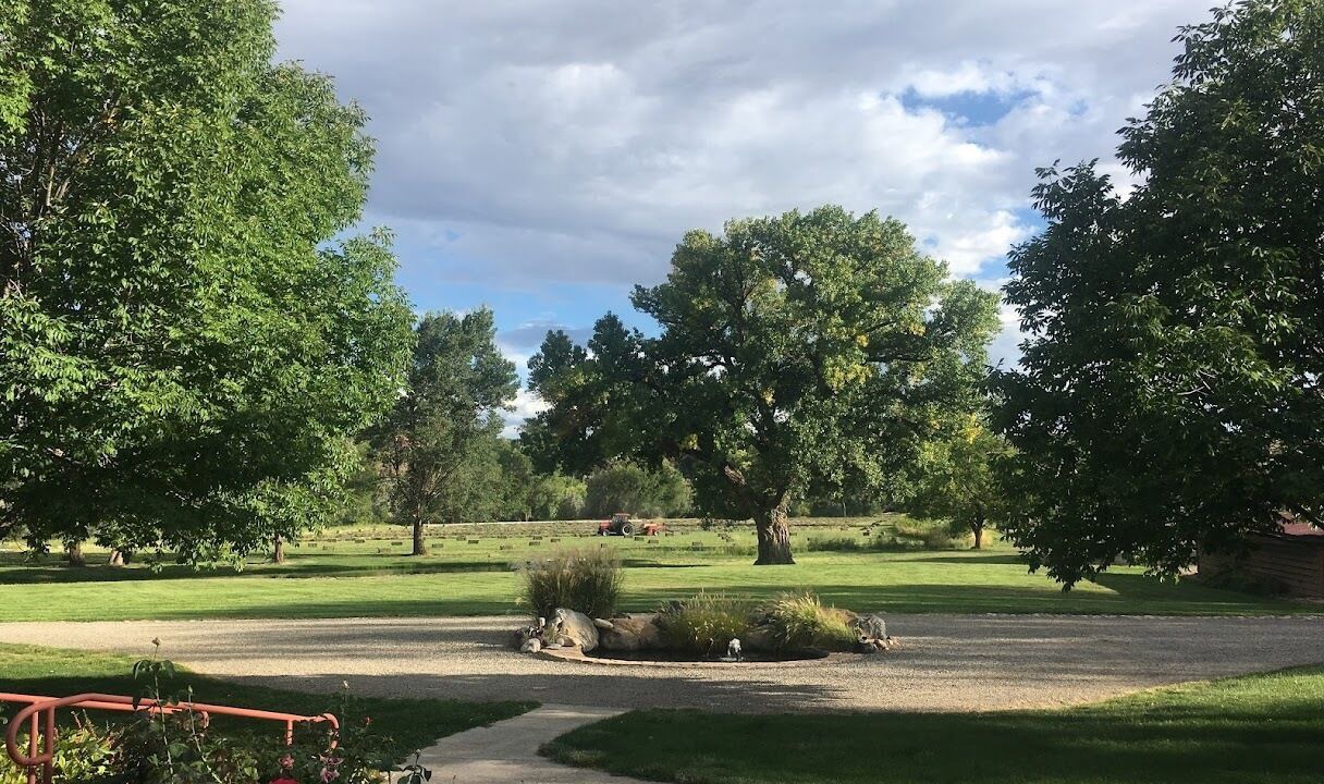 Photo of Others in Palisade