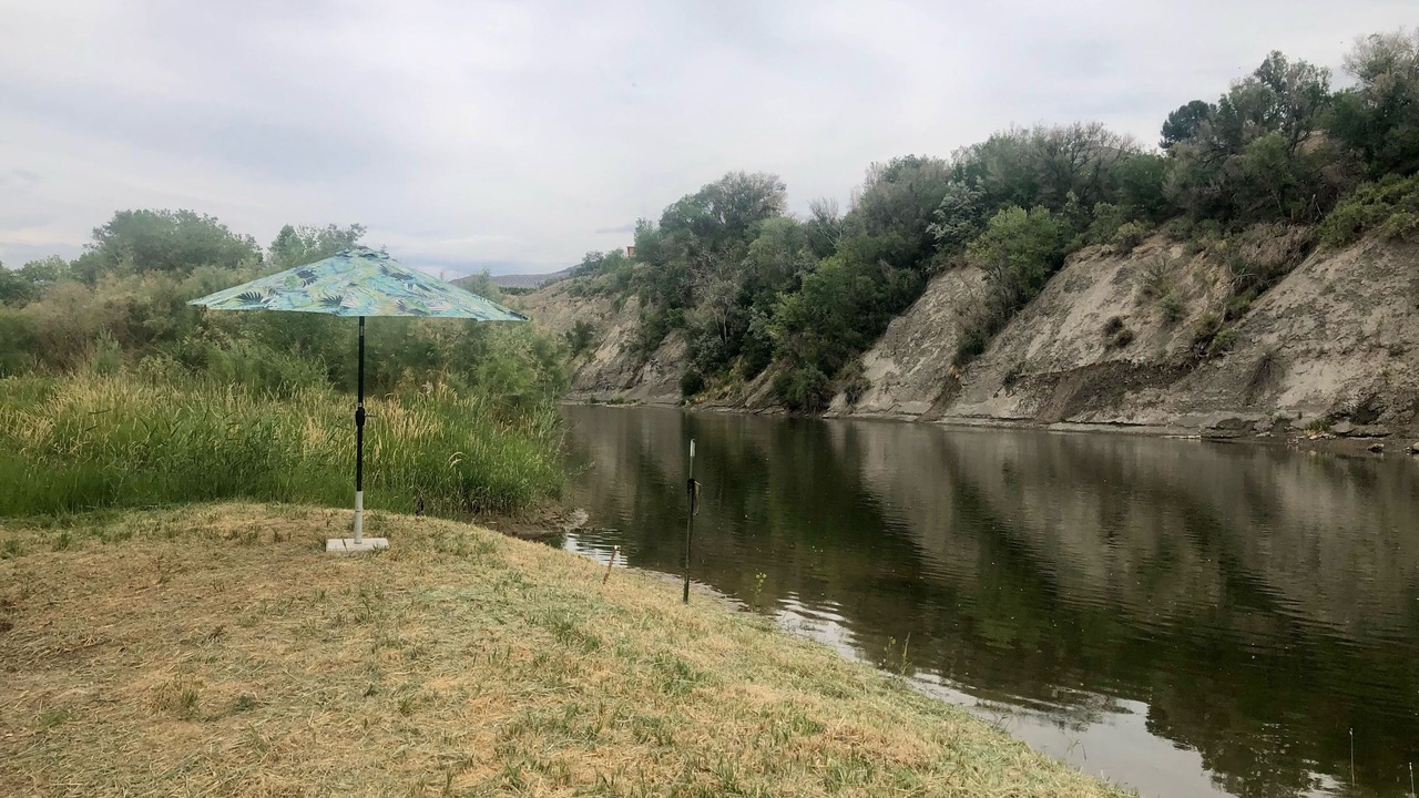 Photo of Others in Palisade