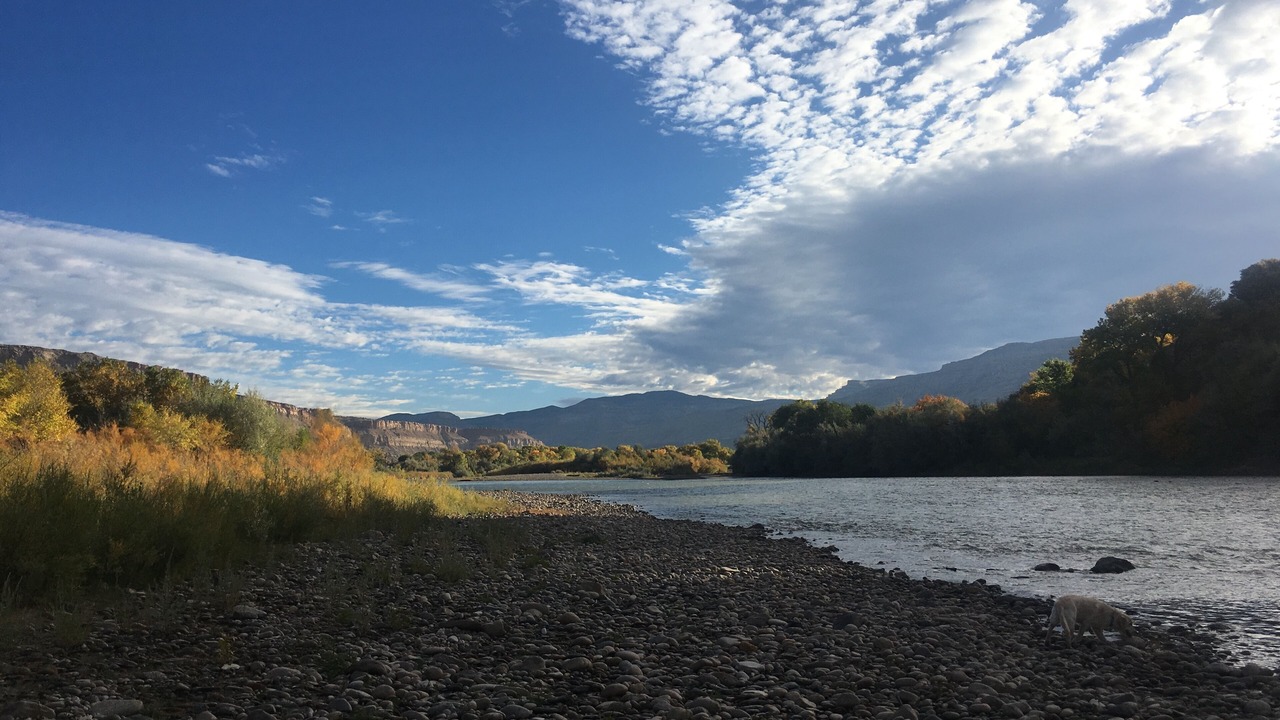 Photo of Others in Palisade