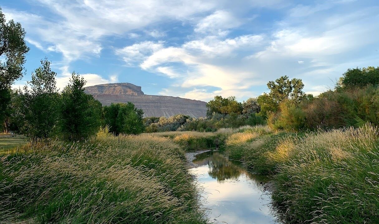 Photo of Outdoor in Palisade