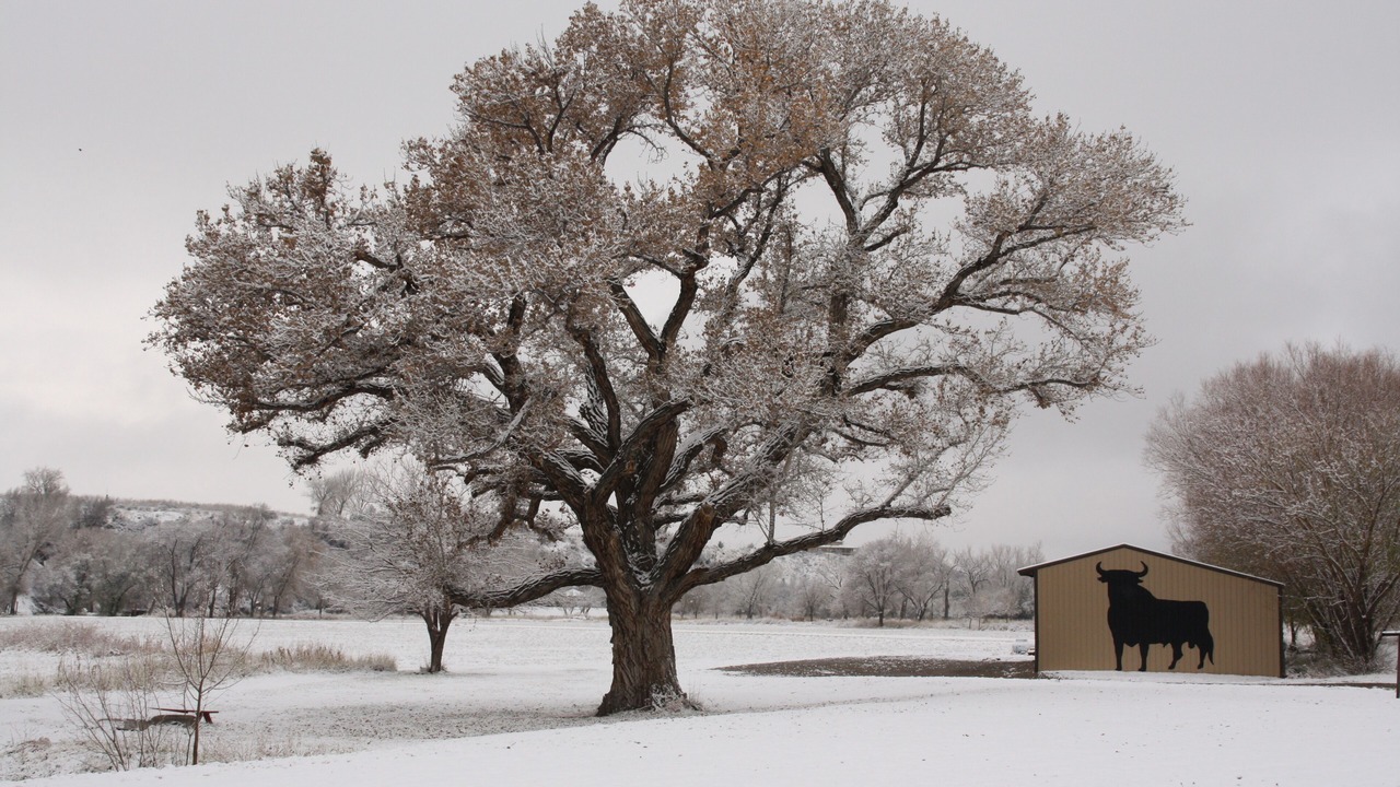 Photo of Outdoor in Palisade