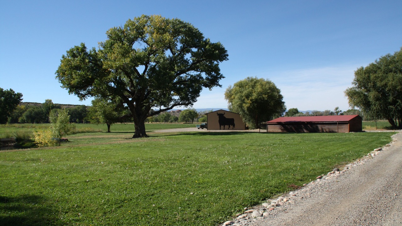 Photo of Others in Palisade