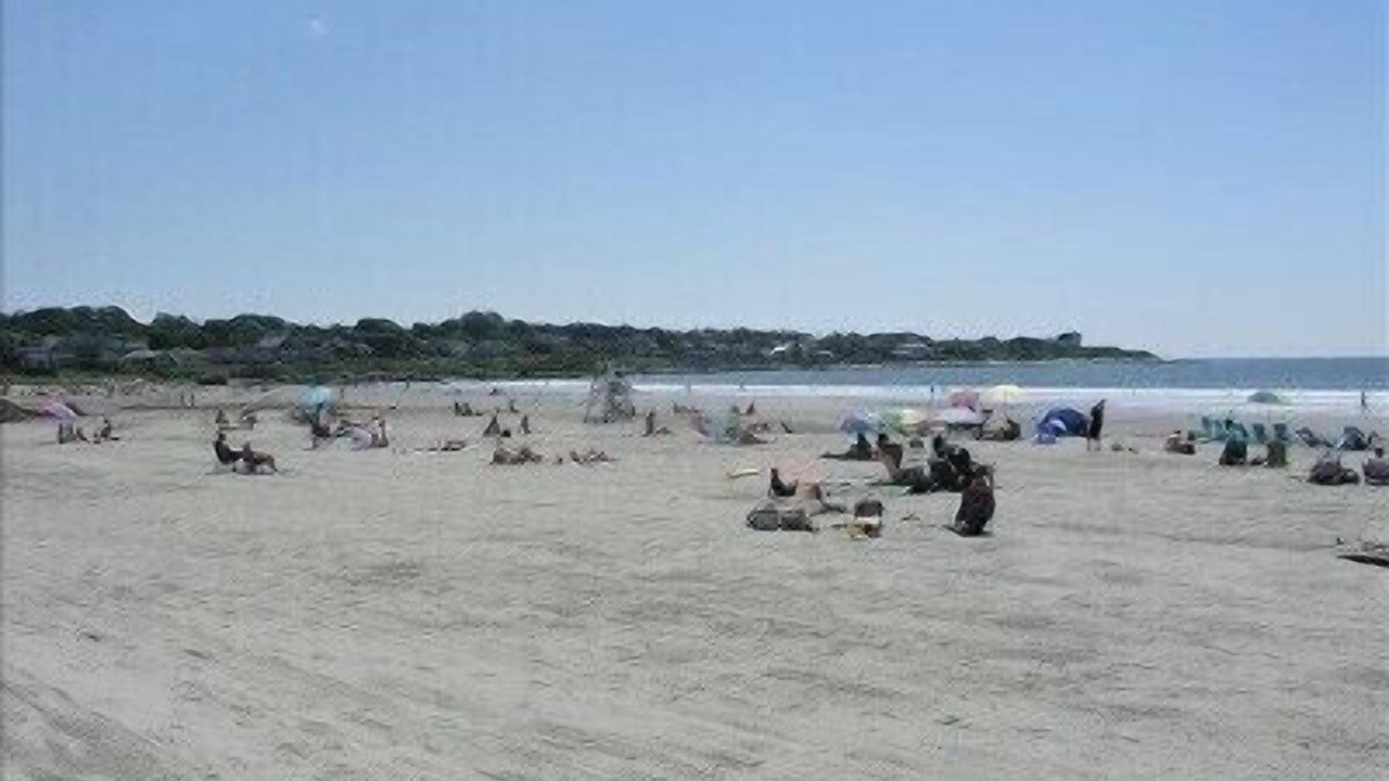 Photo of Others in Newport
