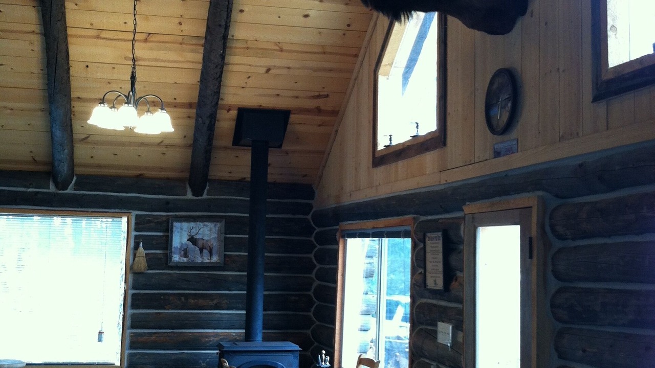 Photo of Others in Questa