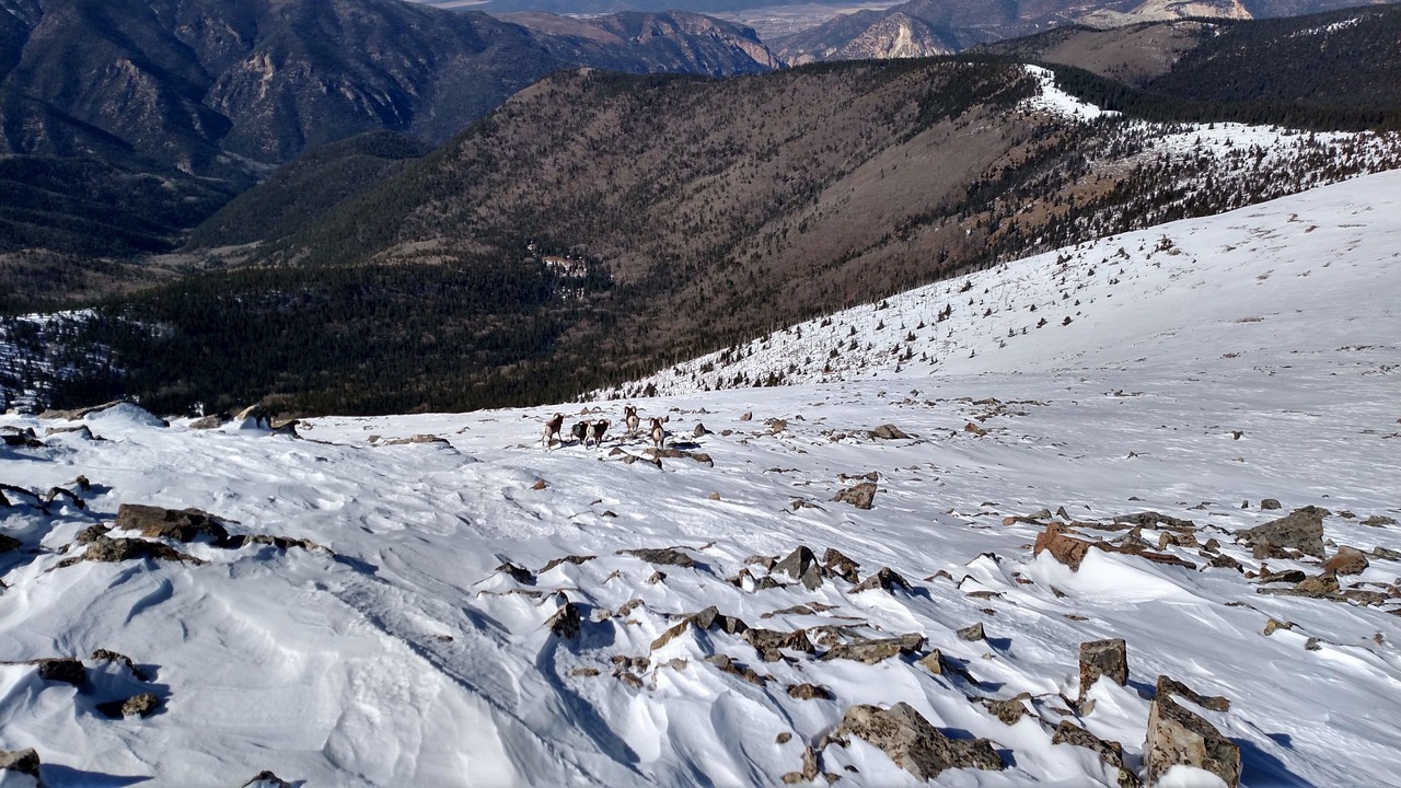 Photo of Others in Questa