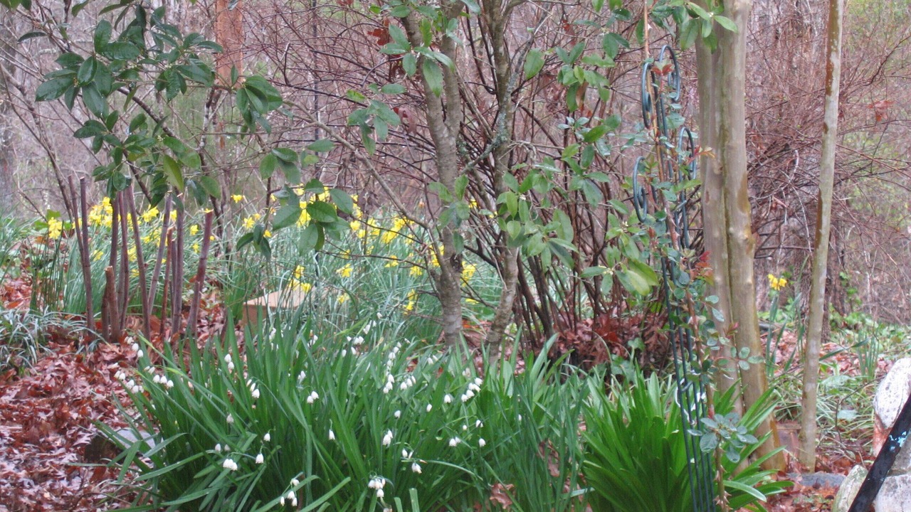 Photo of Outdoor in Pine Level