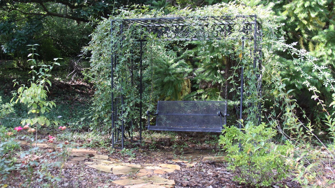Photo of Outdoor in Pine Level