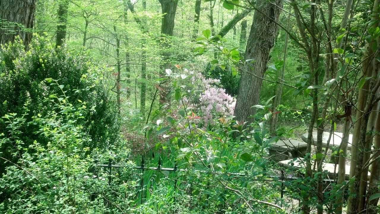 Photo of Outdoor in Pine Level