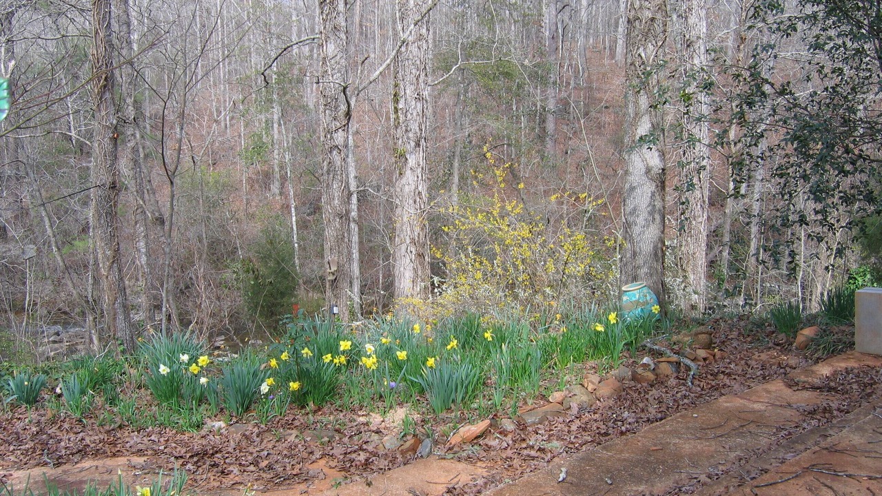 Photo of Outdoor in Pine Level