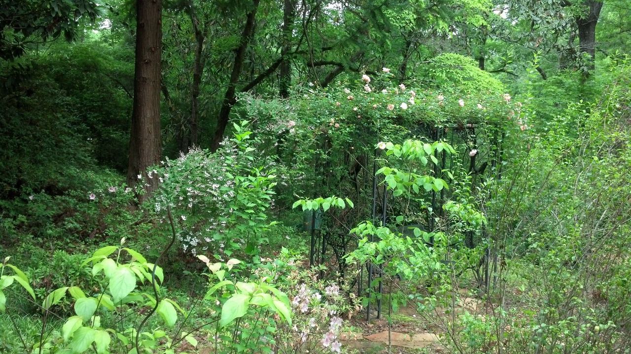 Photo of Outdoor in Pine Level