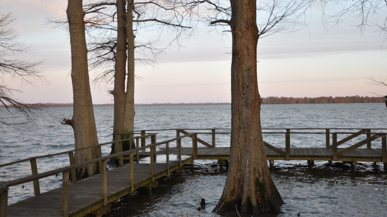 Photo of Outdoor in Wynnburg