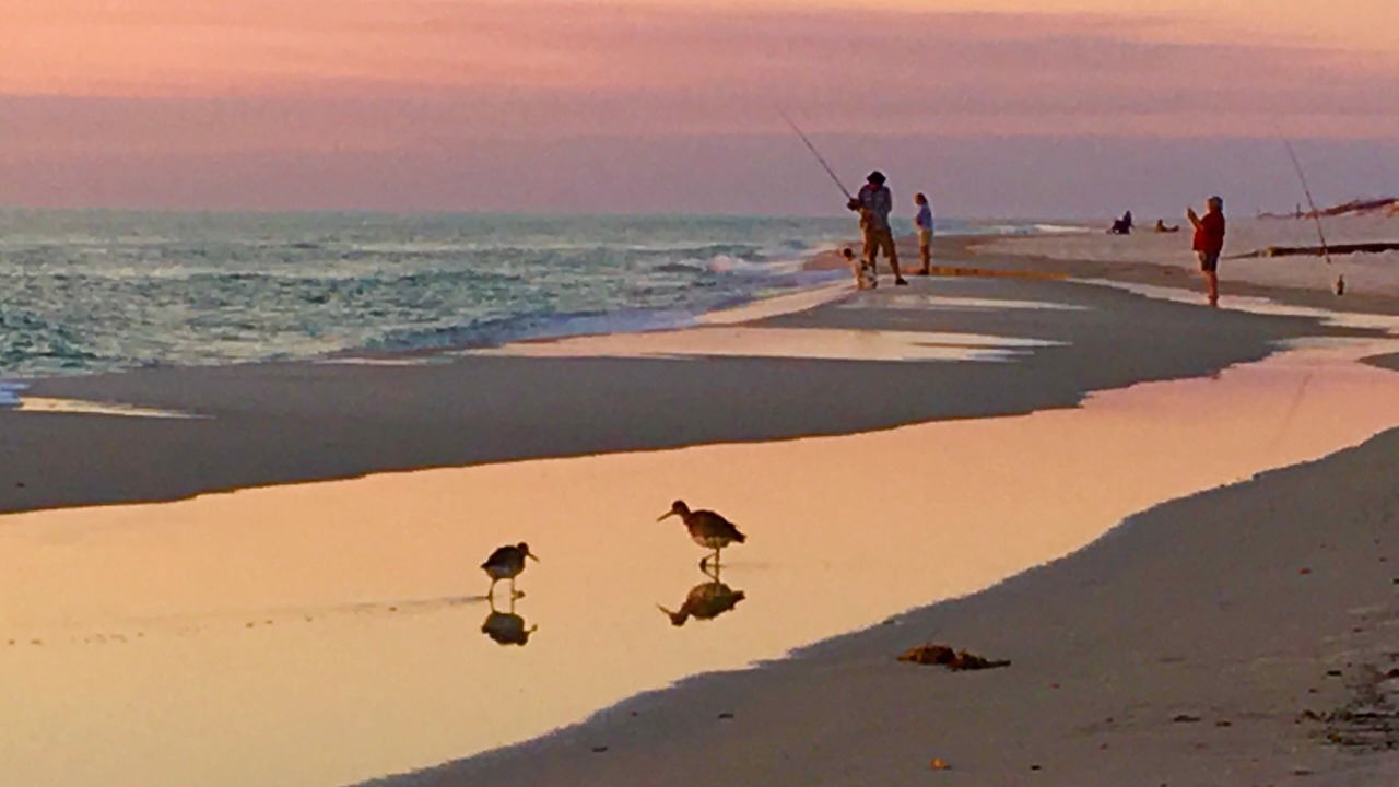 Photo of Others in Cape Breezes