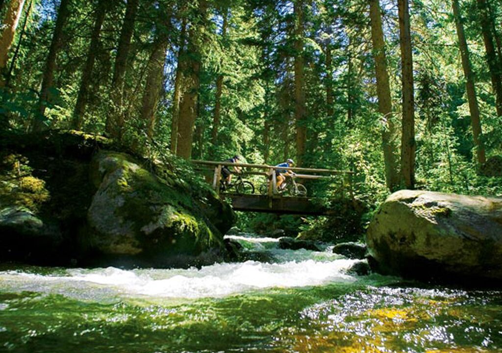 Photo of Outdoor in Avon