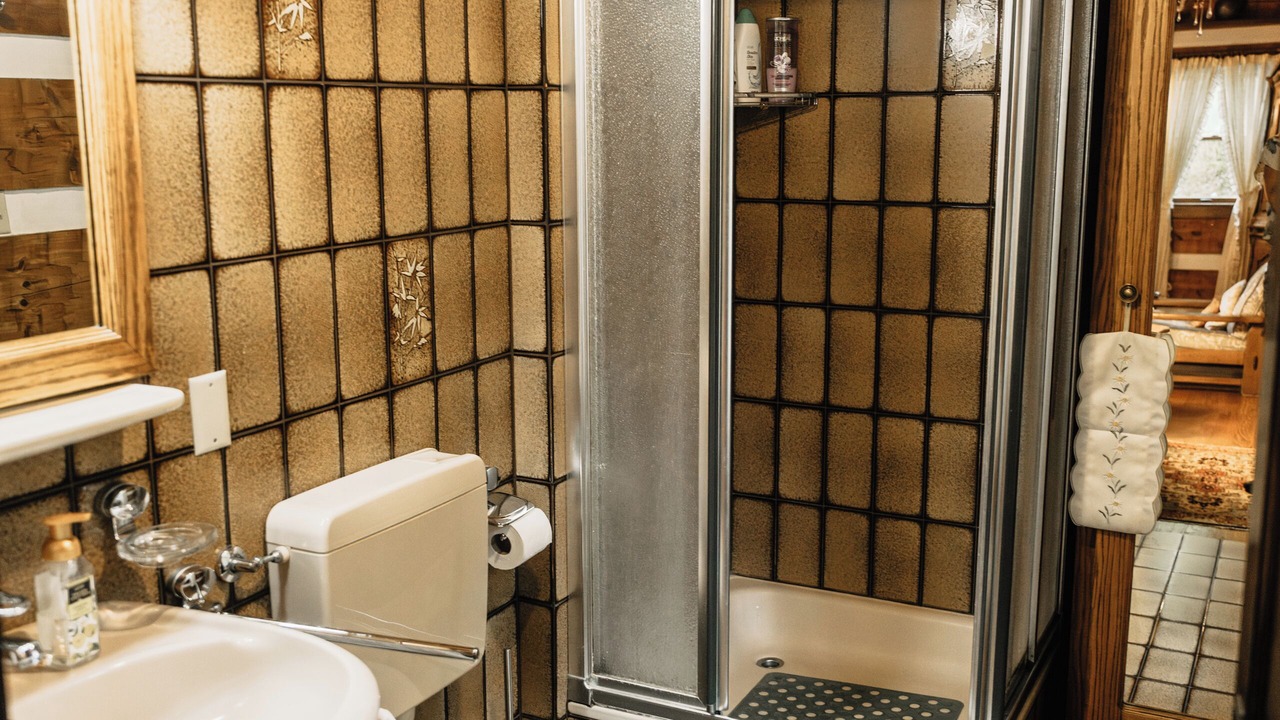 Photo of Bathroom in Whites Creek