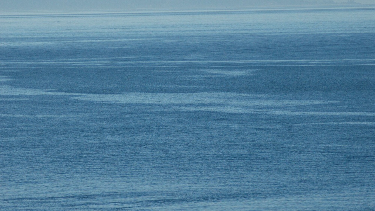 Photo of Others in Bainbridge Island