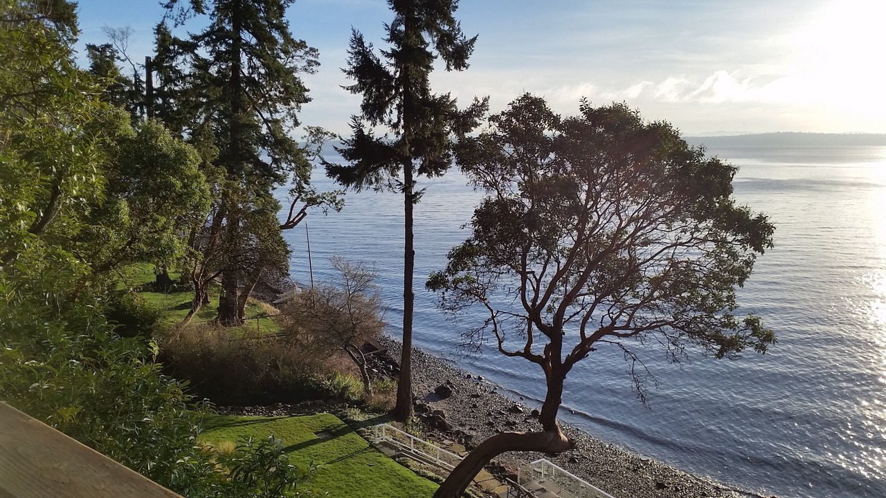 Photo of Others in Bainbridge Island
