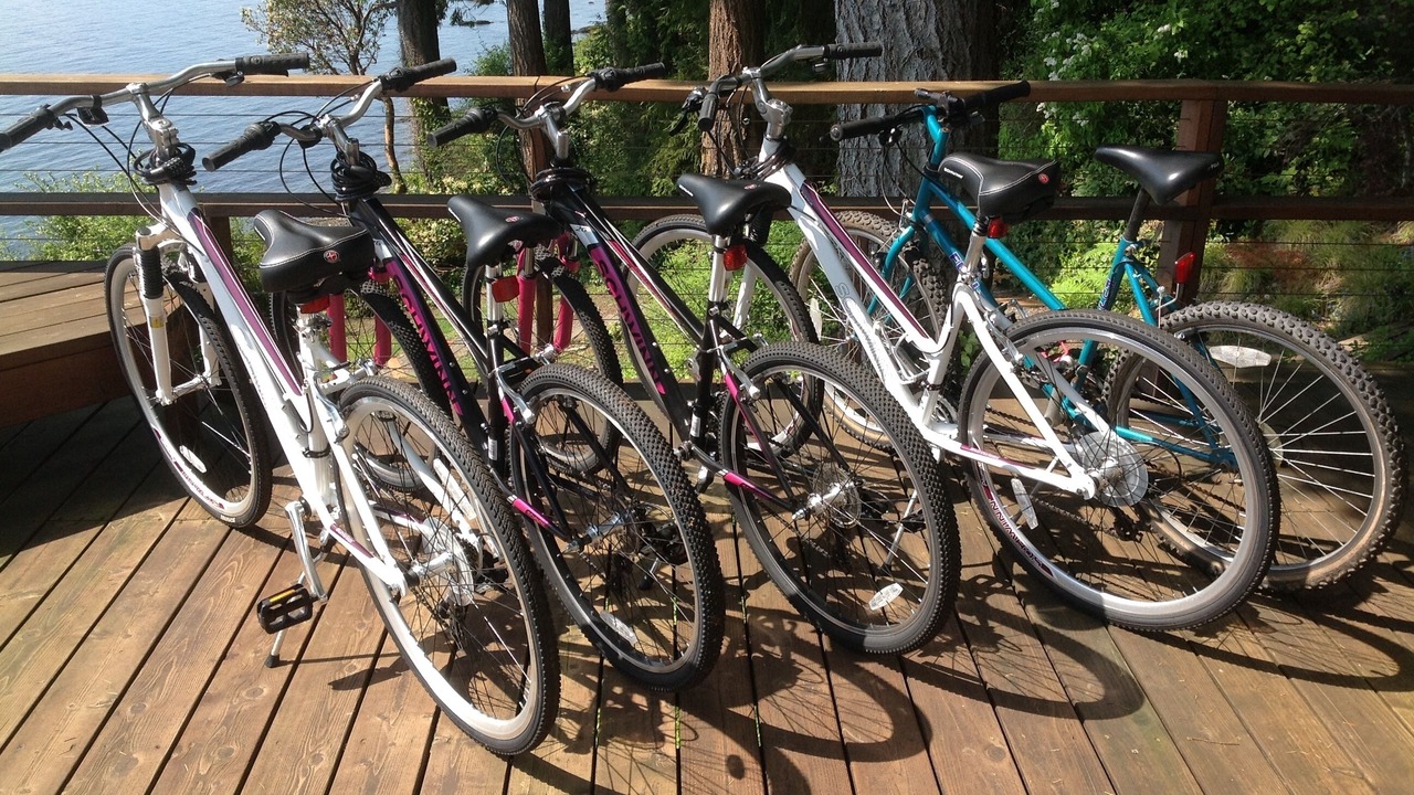 Photo of Others in Bainbridge Island