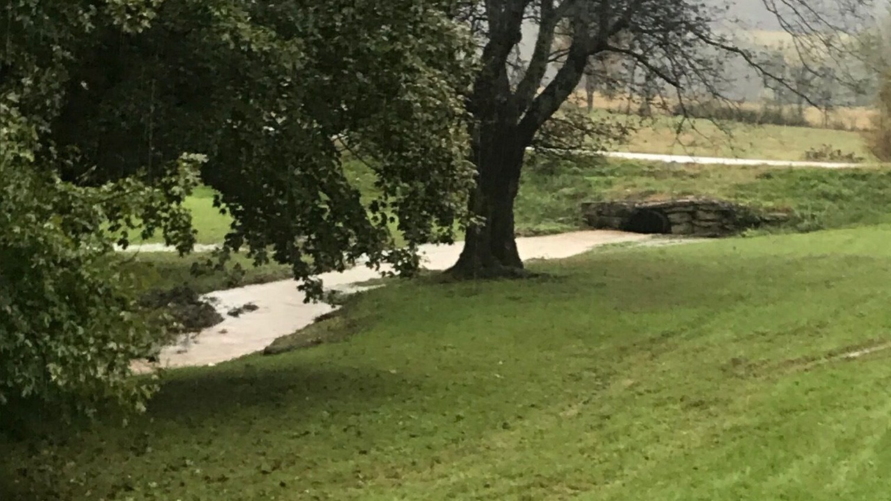 Photo of Others in Hendersonville