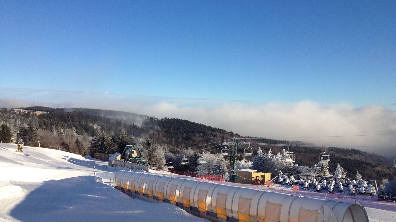 Photo of Others in Snowshoe