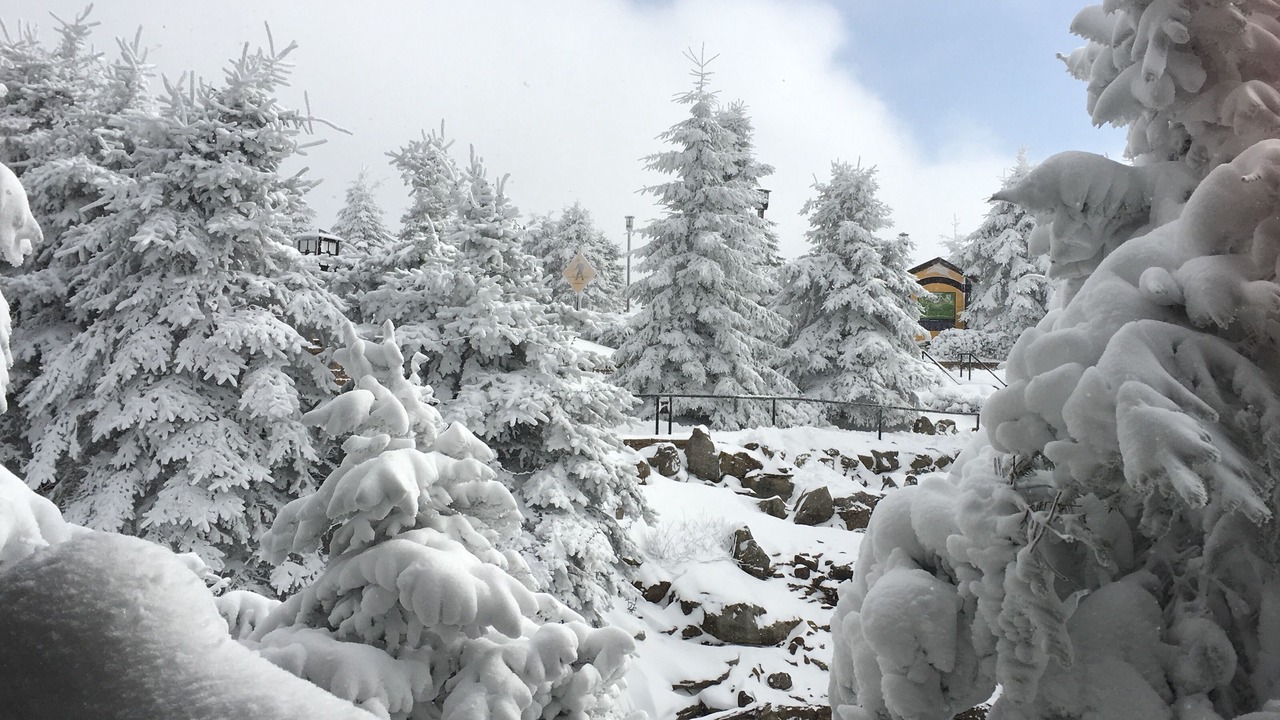 Photo of Others in Snowshoe