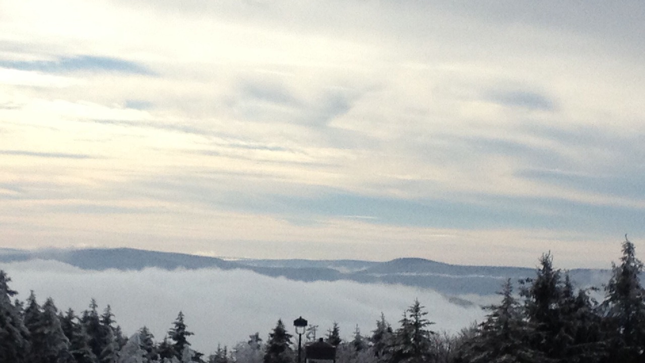 Photo of Others in Snowshoe