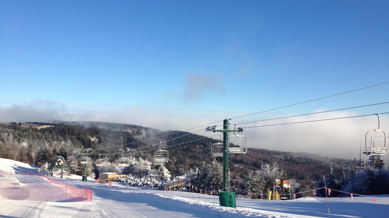 Photo of Others in Snowshoe
