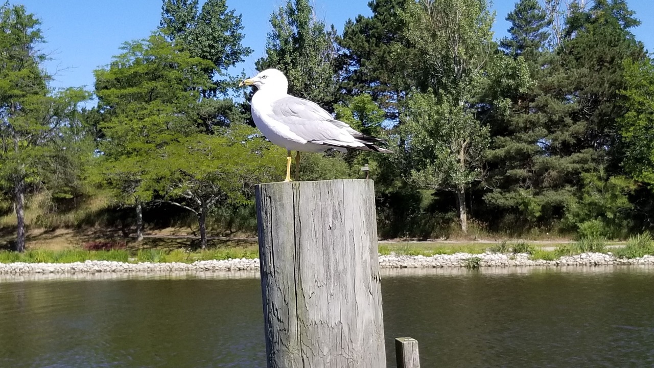 Photo of Others in Grand Haven