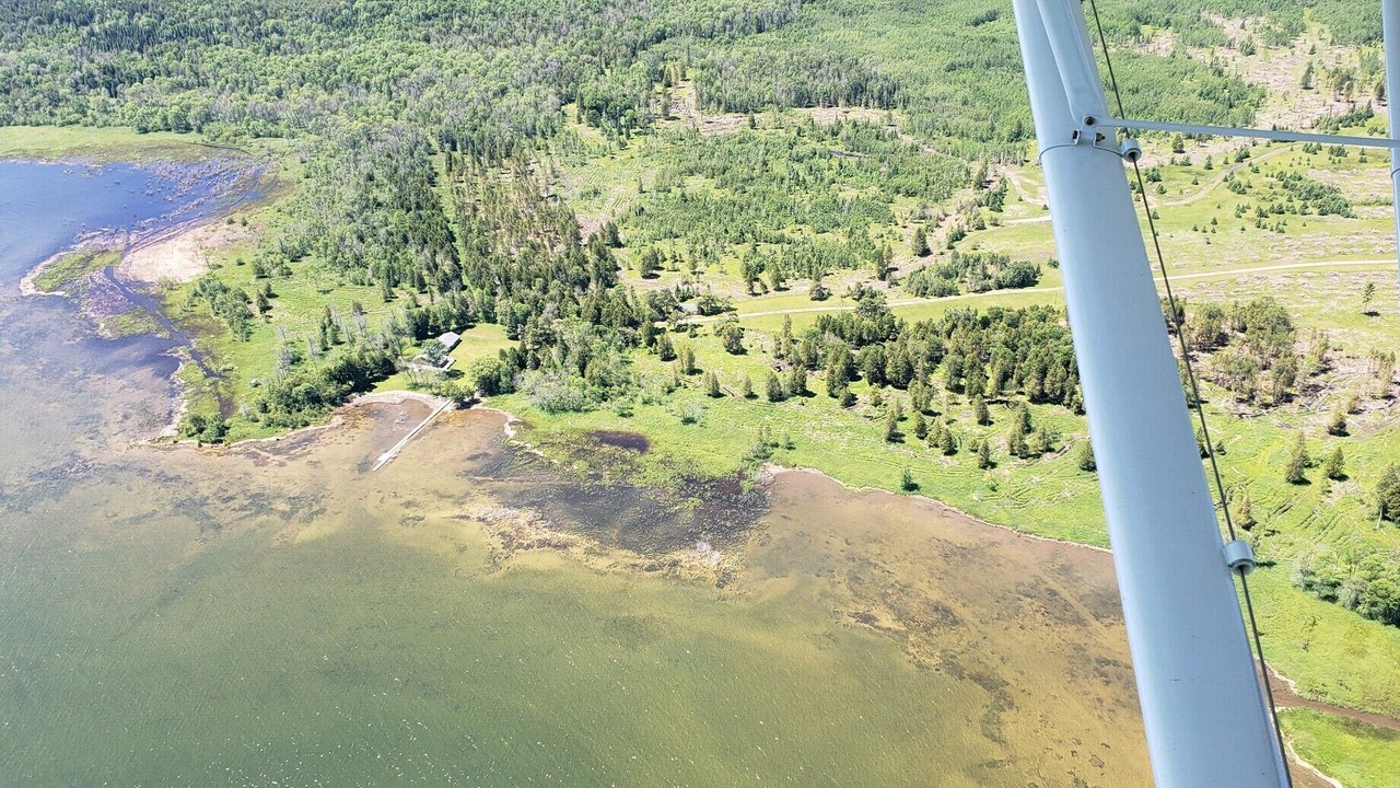 Photo of Others in Rapid River