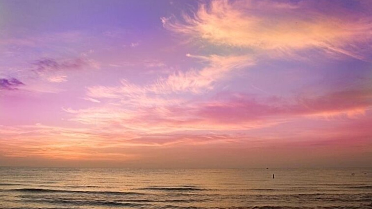 Photo of Others in Clearwater Beach