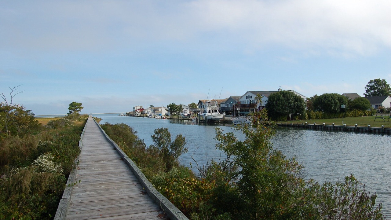 Photo of Others in Bayside