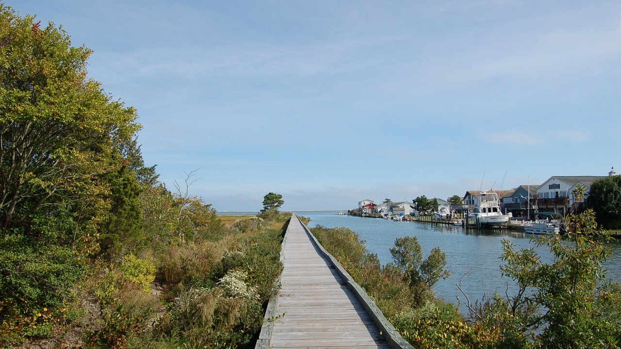 Photo of Others in Bayside