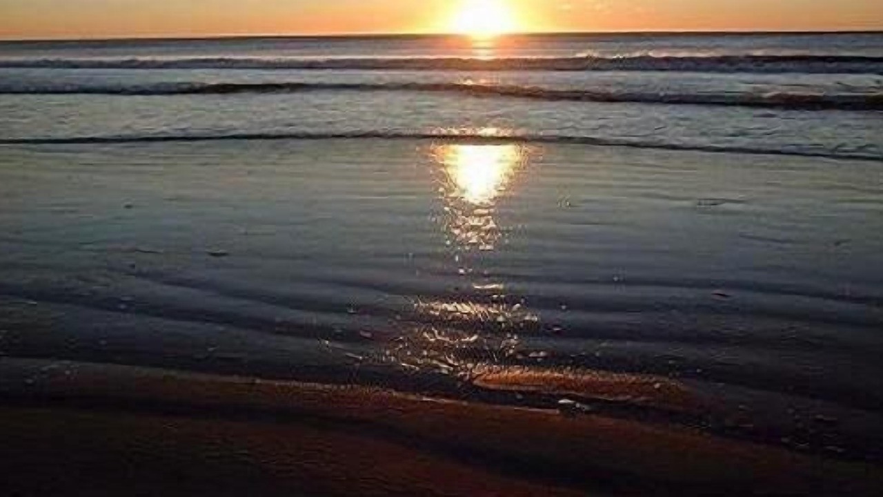 Photo of Others in Gold Coast