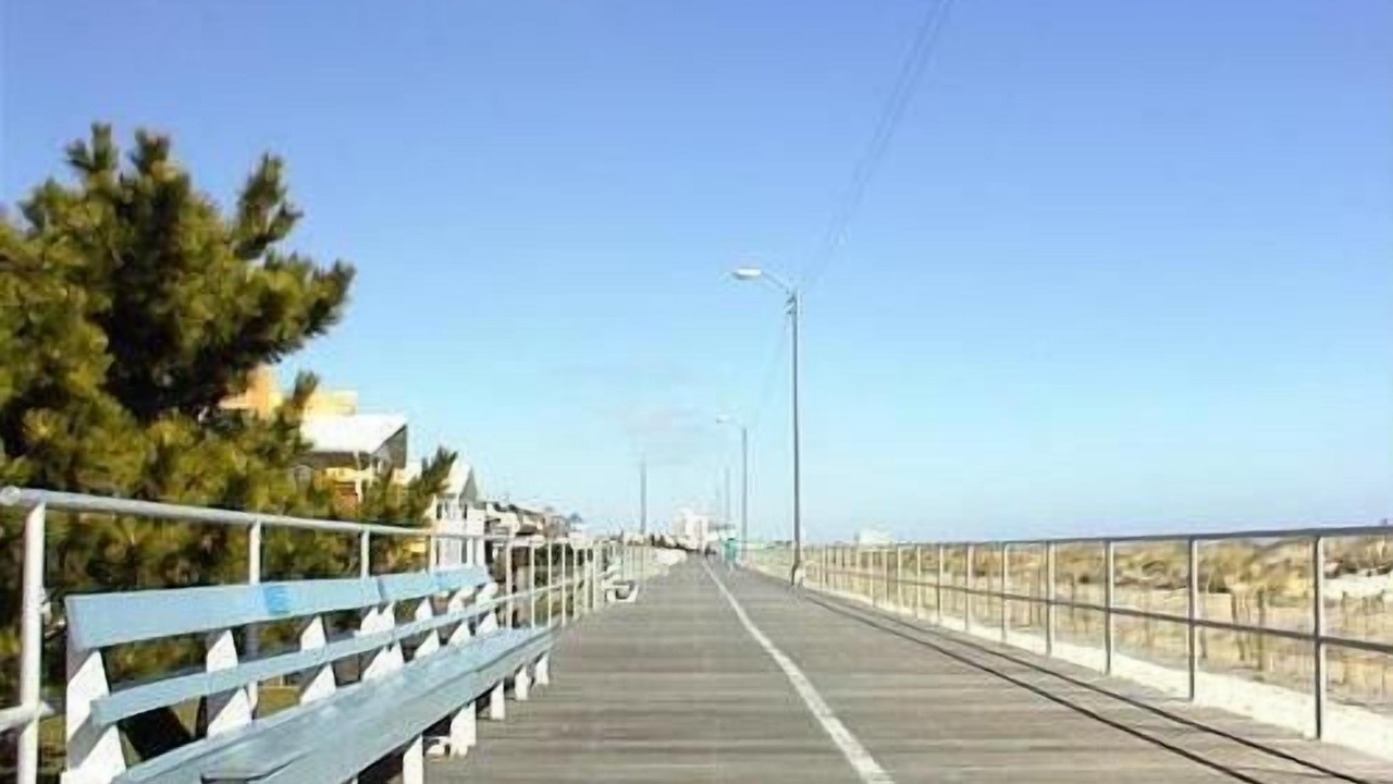 Photo of Others in Gold Coast