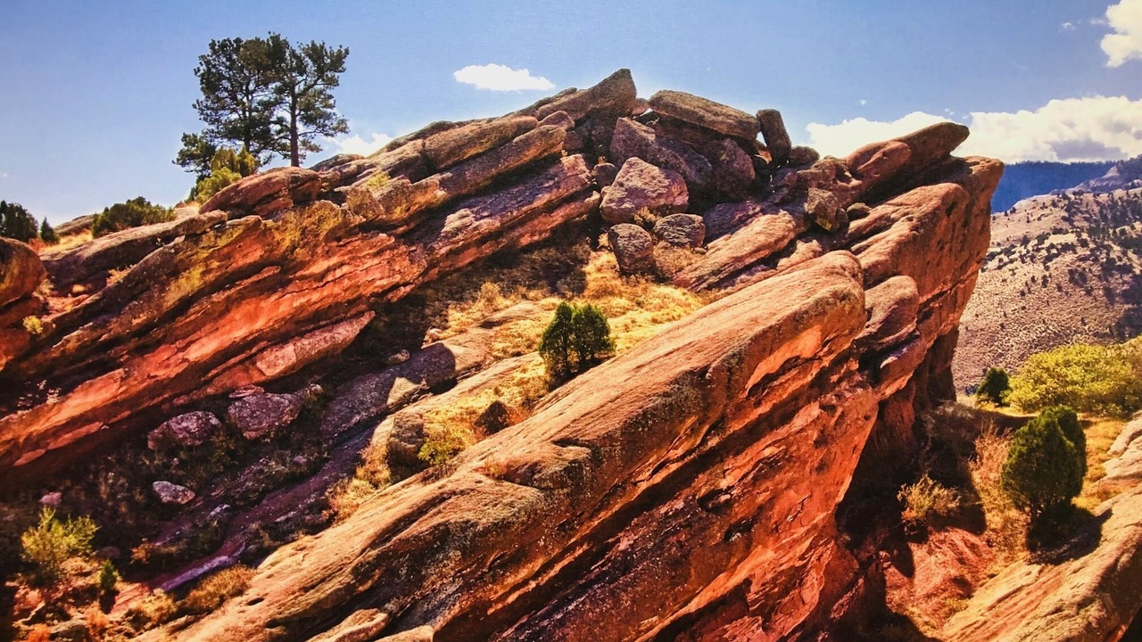 Photo of Others in Lyons