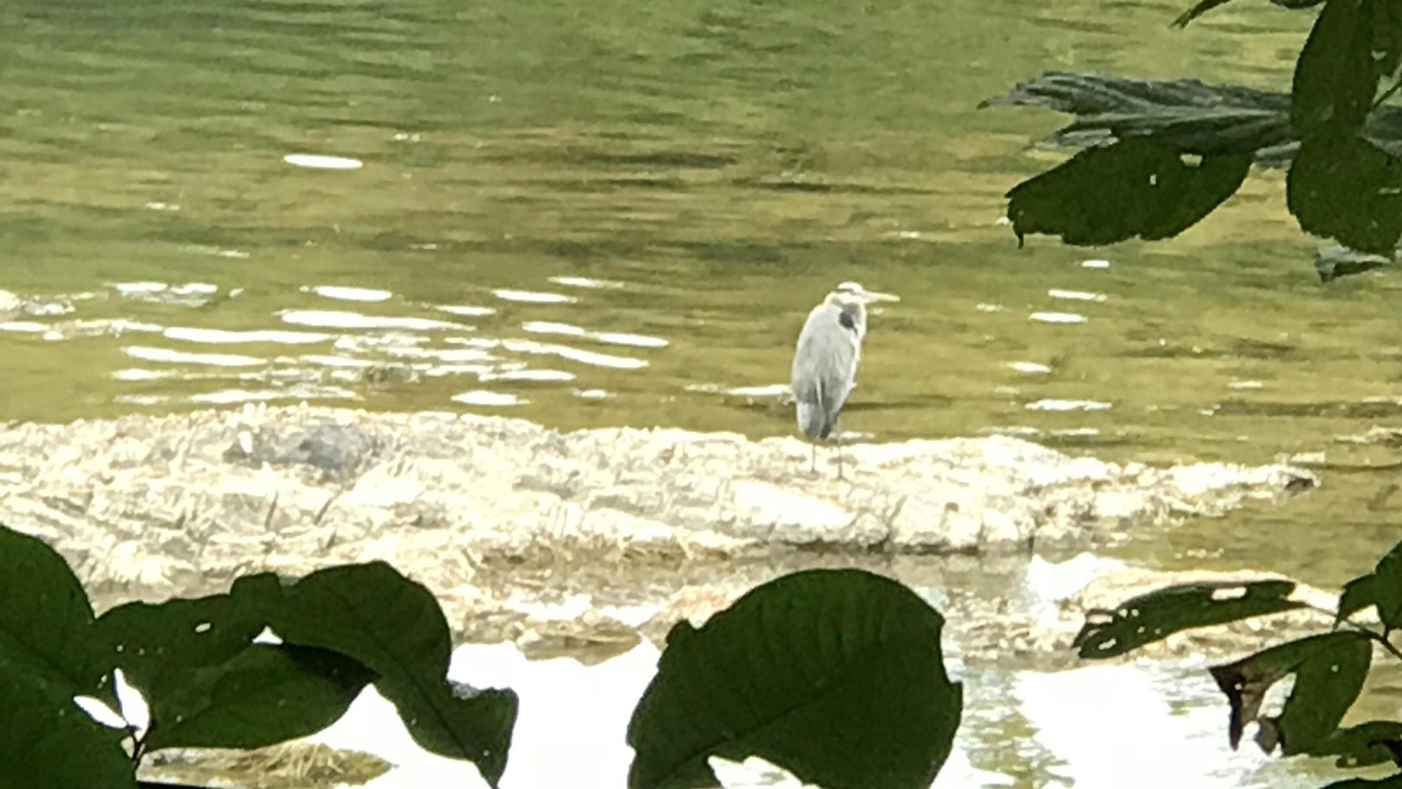 Photo of Others in Shepherdstown