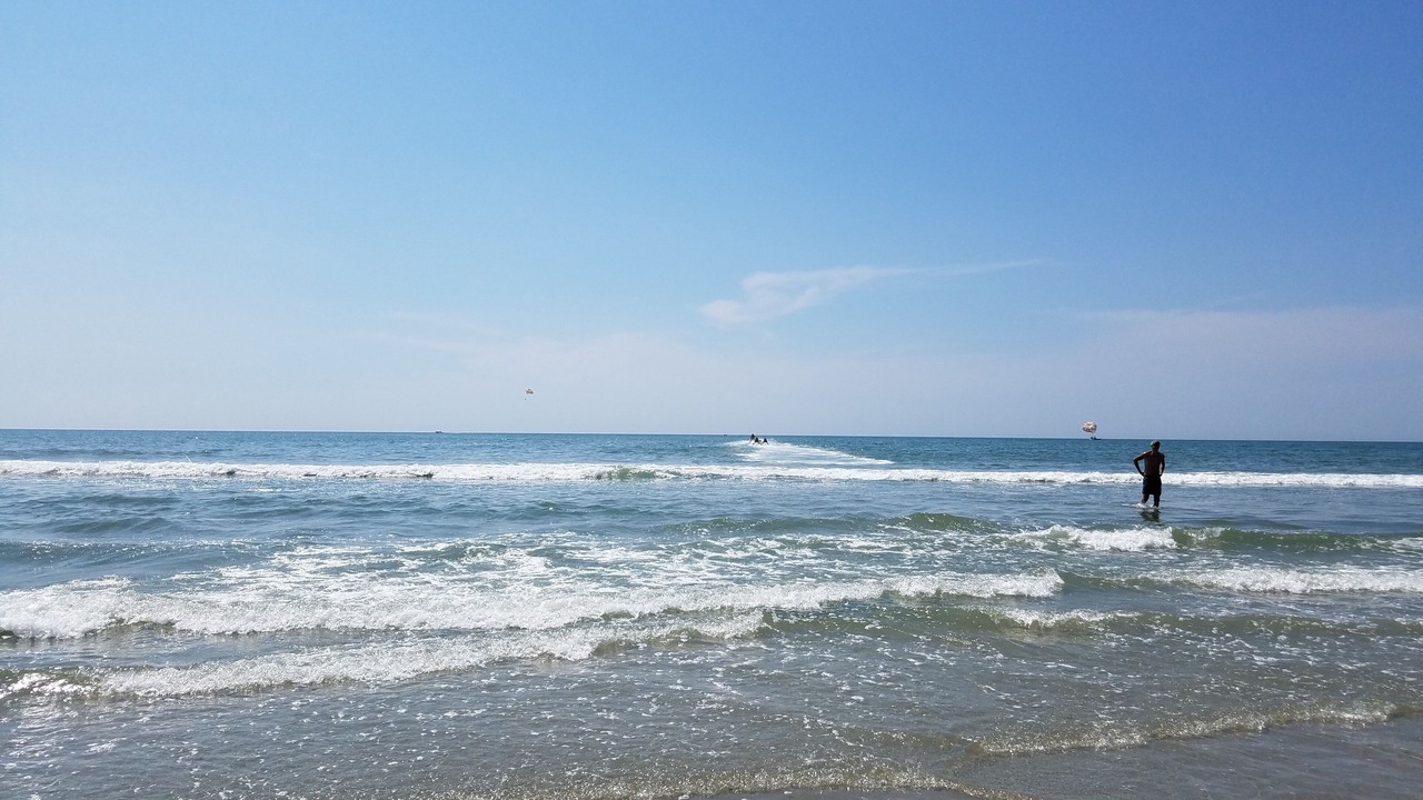 Photo of Others in Myrtle Beach