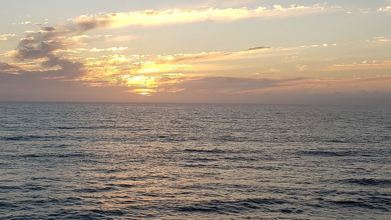 Photo of Outdoor in Ocean Beach