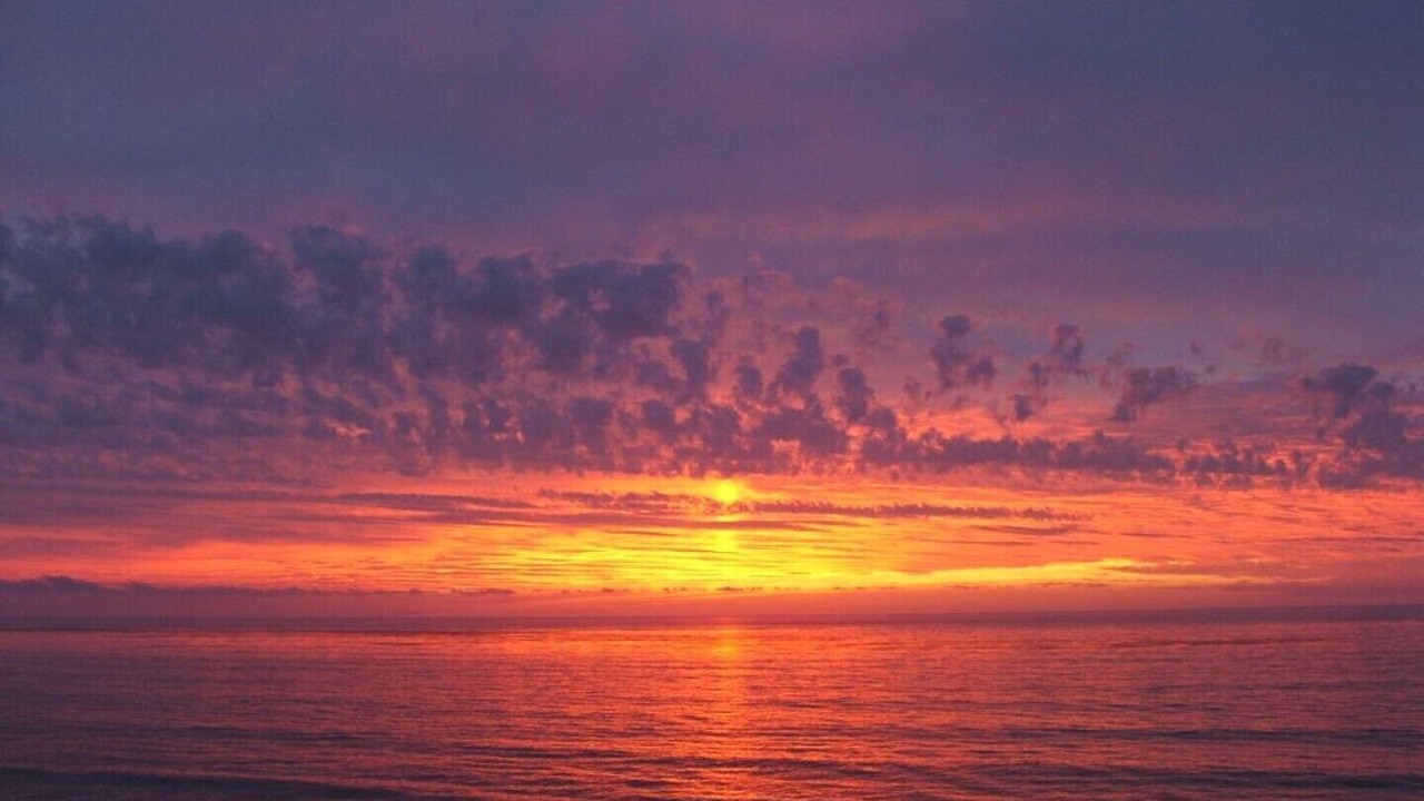 Photo of Others in Ocean Beach
