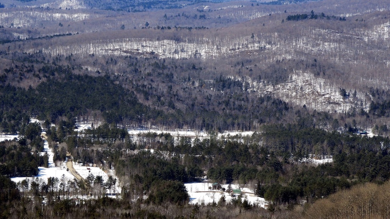 Photo of Outdoor in Olmstedville