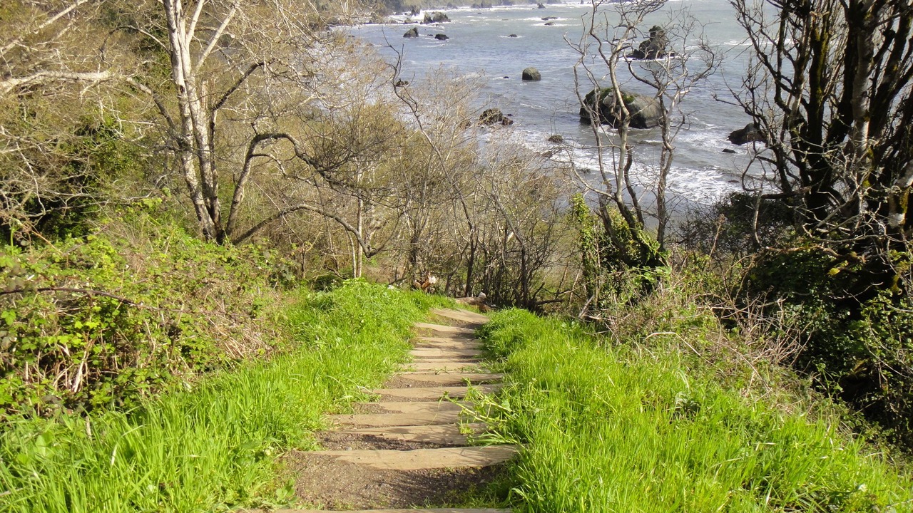 Photo of Others in Eureka
