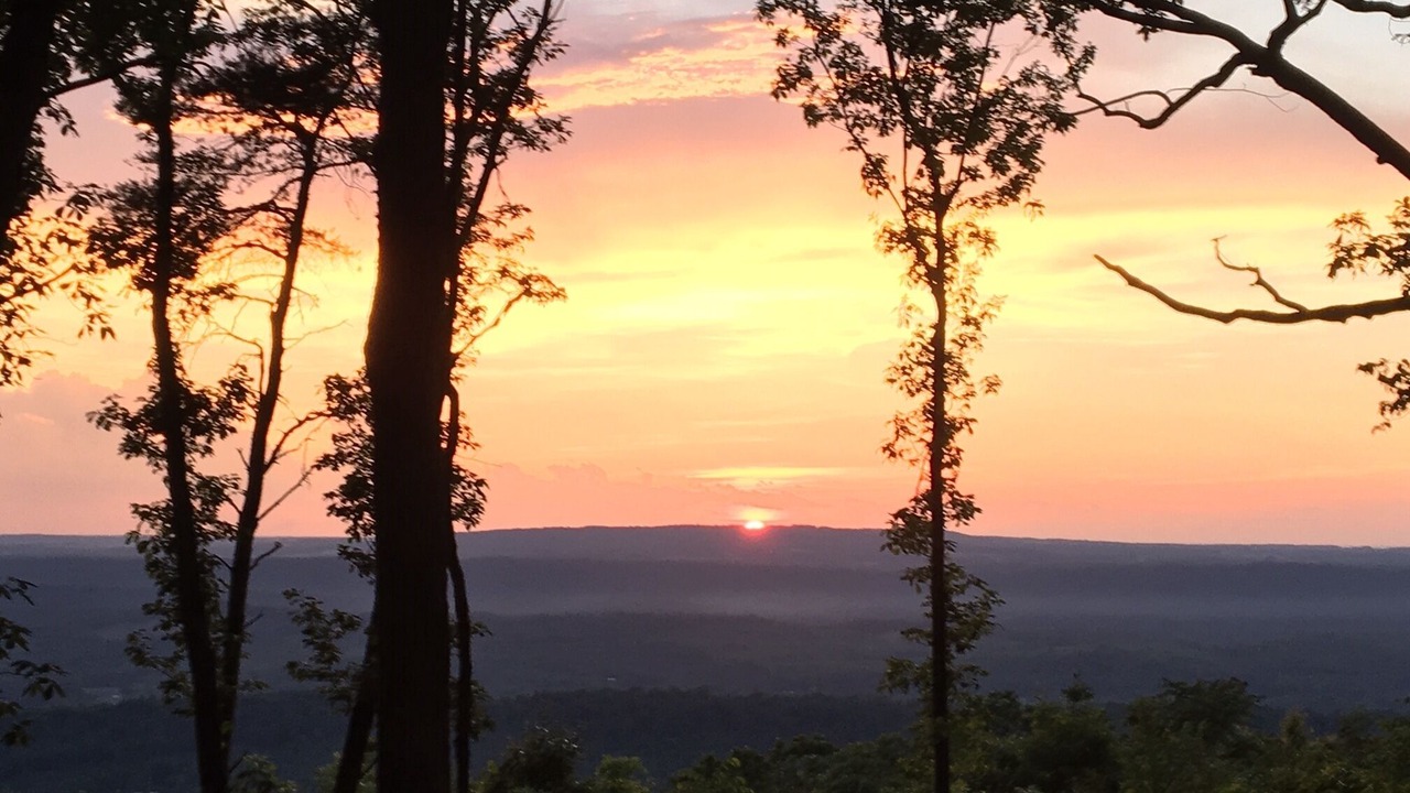 Photo of Outdoor in Mentone