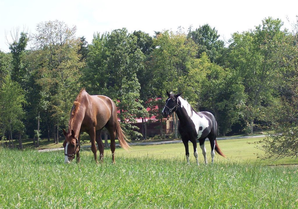 Photo of Others in Spencer