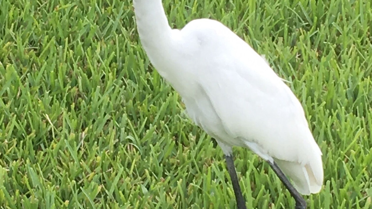 Photo of Others in Pebble Beach
