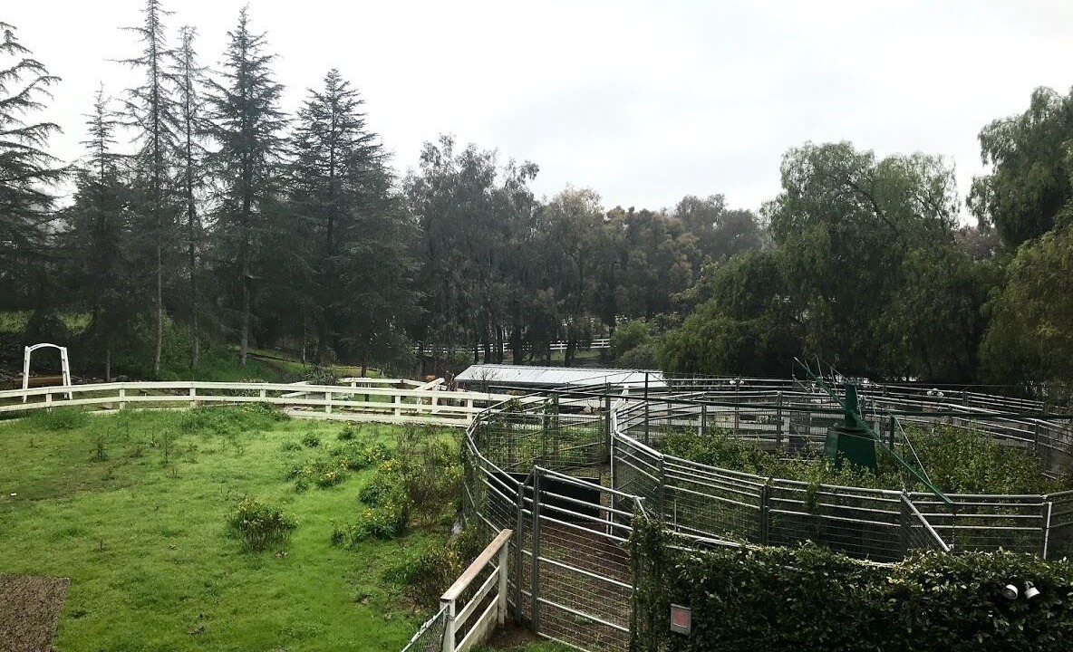Photo of Outdoor in Escondido