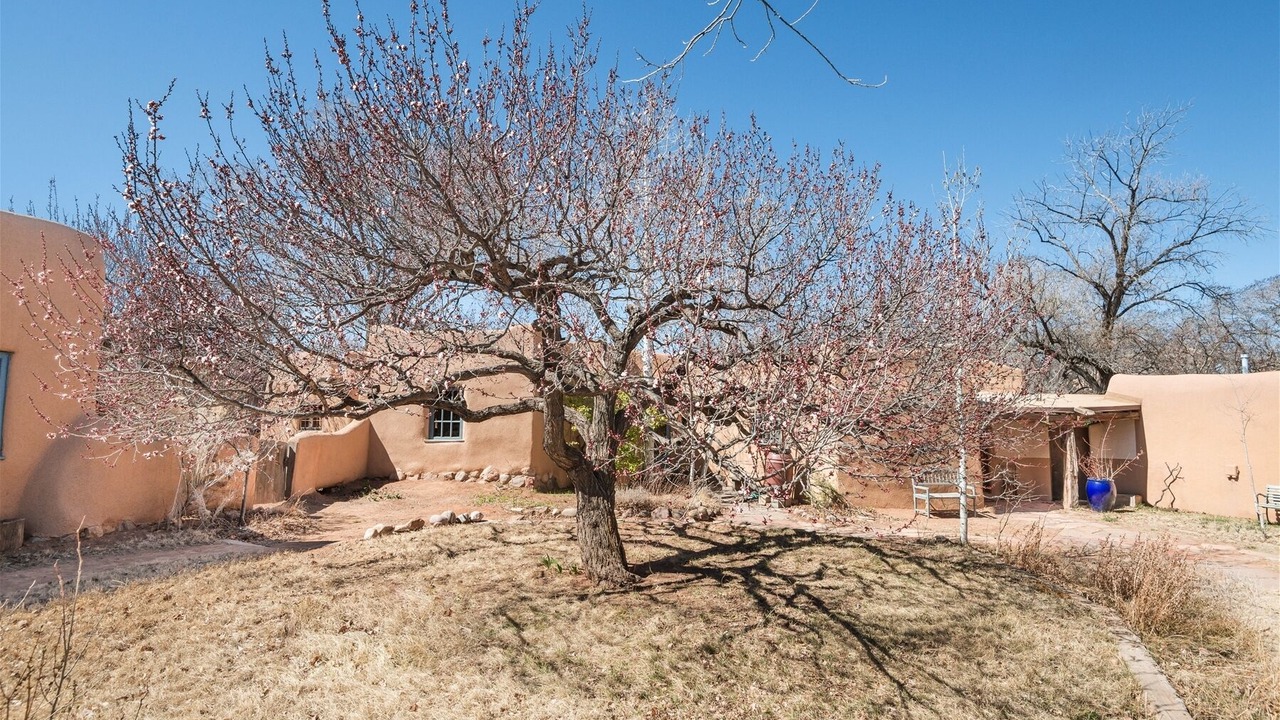 Photo of Outdoor in Historic Eastside