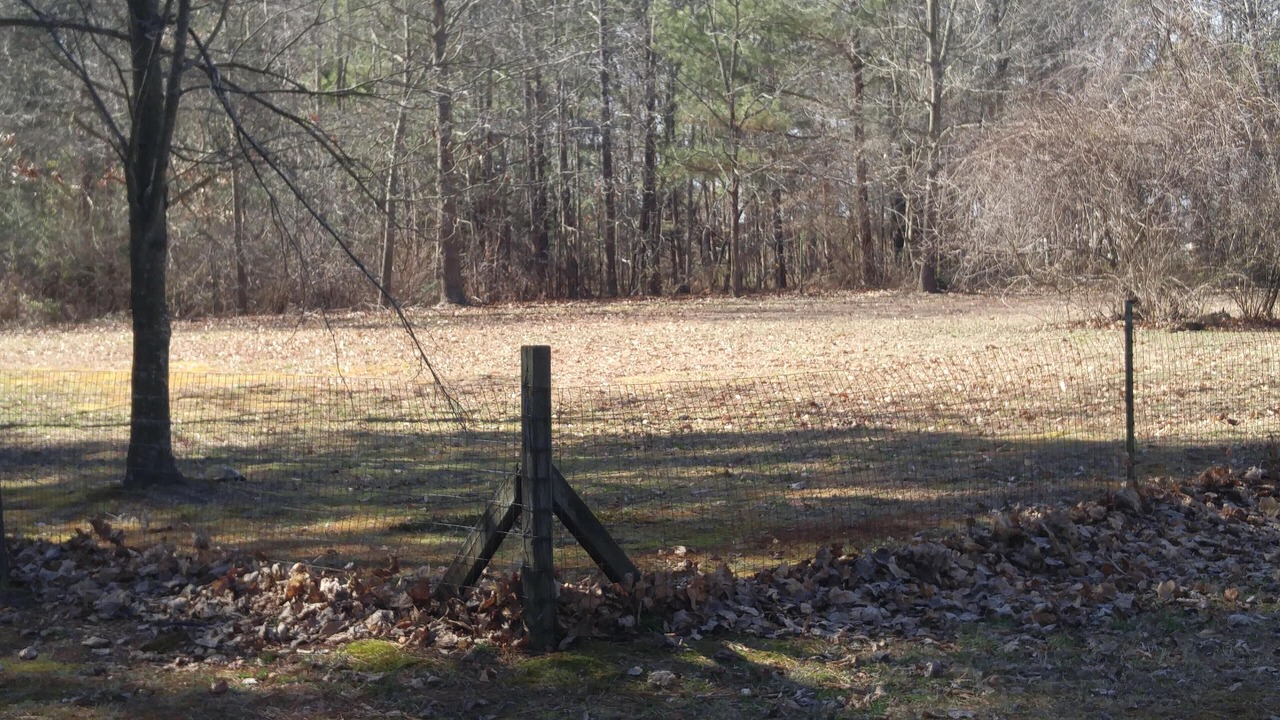 Photo of Outdoor in Bethlehem